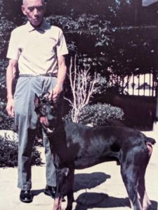 愛犬のドーベルマン